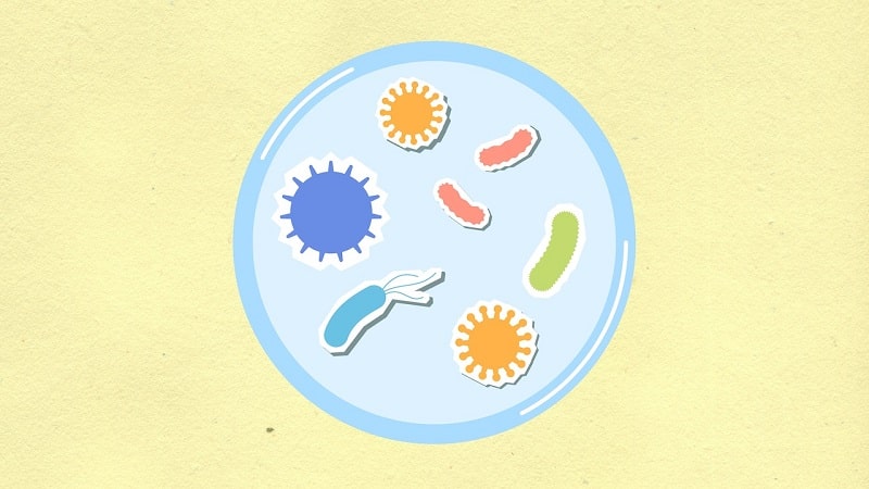 Sağlıklı Bir Mikrobiyom Genel Sağlığın Anahtarıdır - Solargezi - Sözlük - Sindirim Sistemimiz Hakkında bilmeniz gerekenler